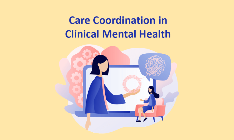 Coordinated Care in Clinical Mental Health - DC2Vue By Data Capture Experts